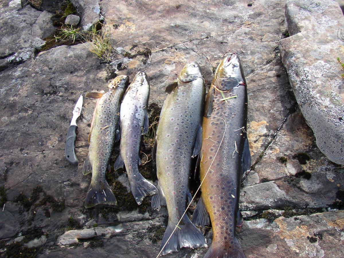 Bremanger Fjord Hotell Svelgen Zewnętrze zdjęcie